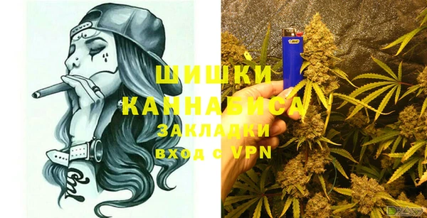 индика Наволоки