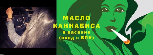 индика Наволоки