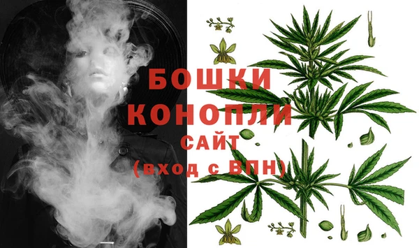 индика Наволоки