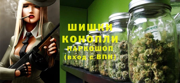 индика Наволоки