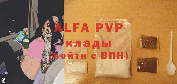 индика Наволоки