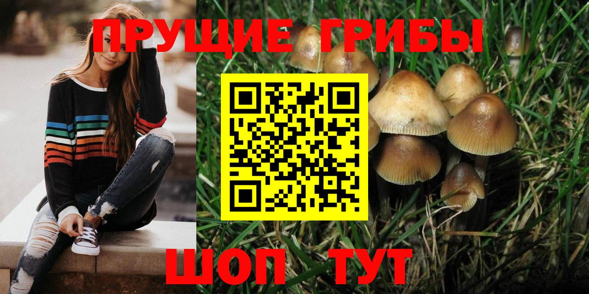 Галлюциногенные грибы GOLDEN TEACHER Армавир
